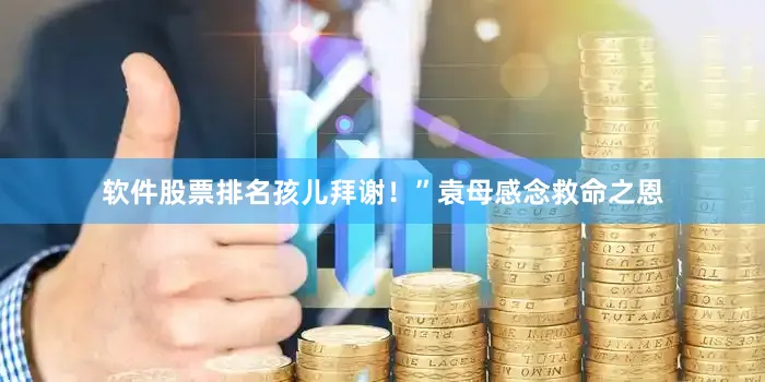 软件股票排名孩儿拜谢！”袁母感念救命之恩