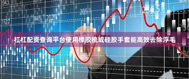 杠杠配资查询平台使用橡胶梳或硅胶手套能高效去除浮毛