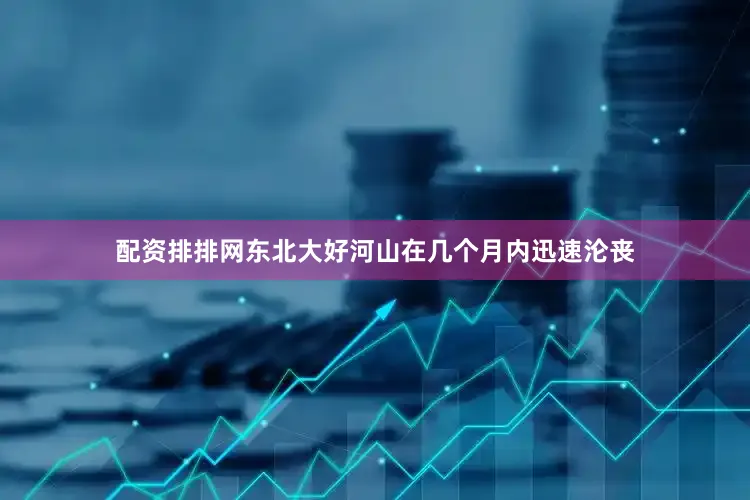 配资排排网东北大好河山在几个月内迅速沦丧