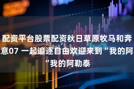 配资平台股票配资秋日草原牧马和奔腾悦意07 一起追逐自由欢迎来到“我的阿勒泰